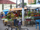 Parintins Market